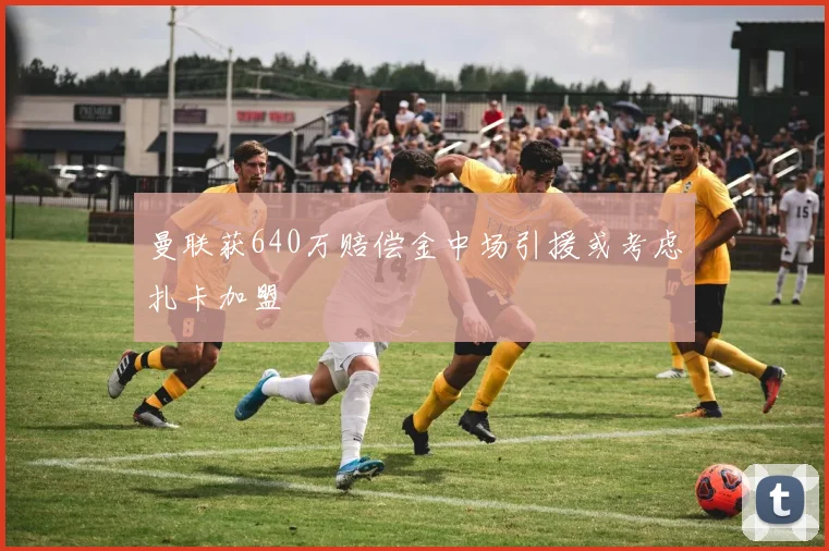 曼联获640万赔偿金中场引援或考虑扎卡加盟