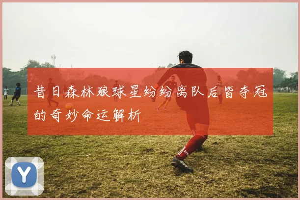 昔日森林狼球星纷纷离队后皆夺冠的奇妙命运解析